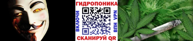 Какие есть наркотики Городовиковск ГАШИШ  Псилоцибиновые грибы  Мефедрон  Бошки Шишки  СК 