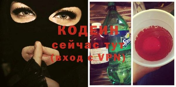 соль ск Арсеньев
