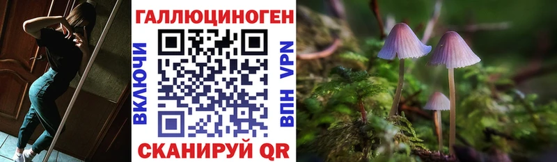Галлюциногенные грибы Psilocybine cubensis  Городовиковск 