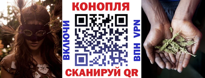 Бошки Шишки VHQ  KRAKEN ТОР  Городовиковск 